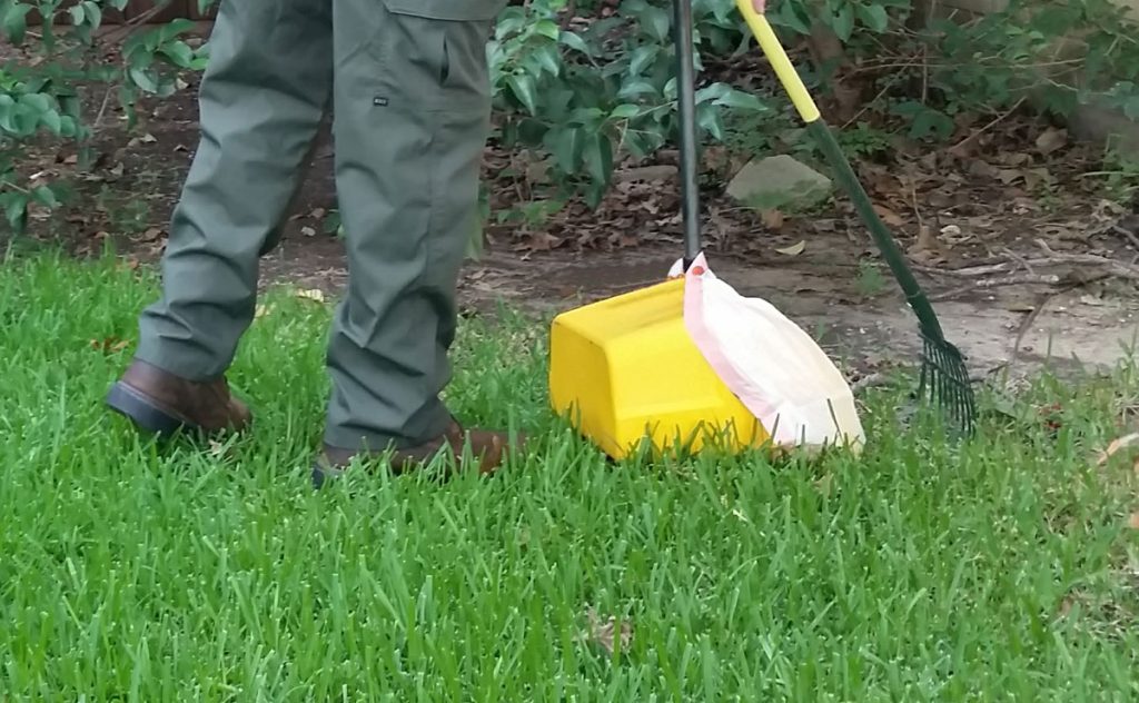 Dog Poop Cleanup Services in Surprise