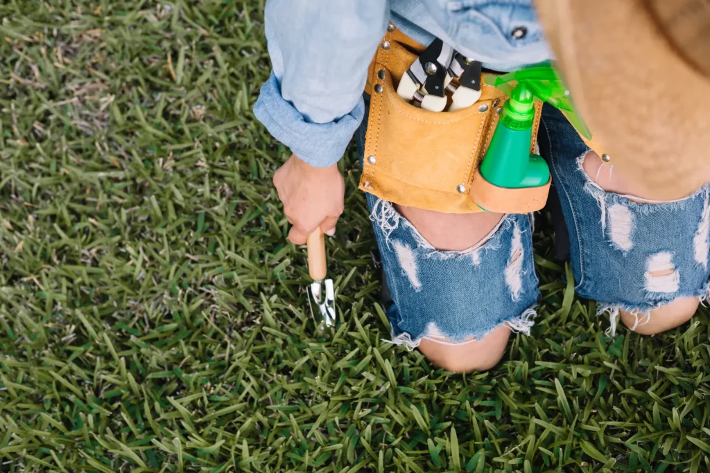 Dog Poop Cleanup Services in Surprise