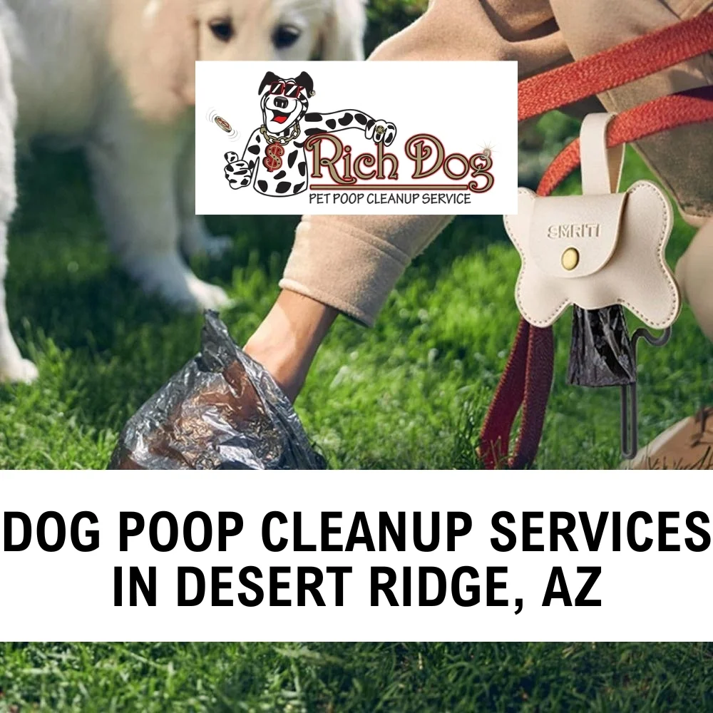Dog Poop Cleanup Services in Desert Ridge, AZ