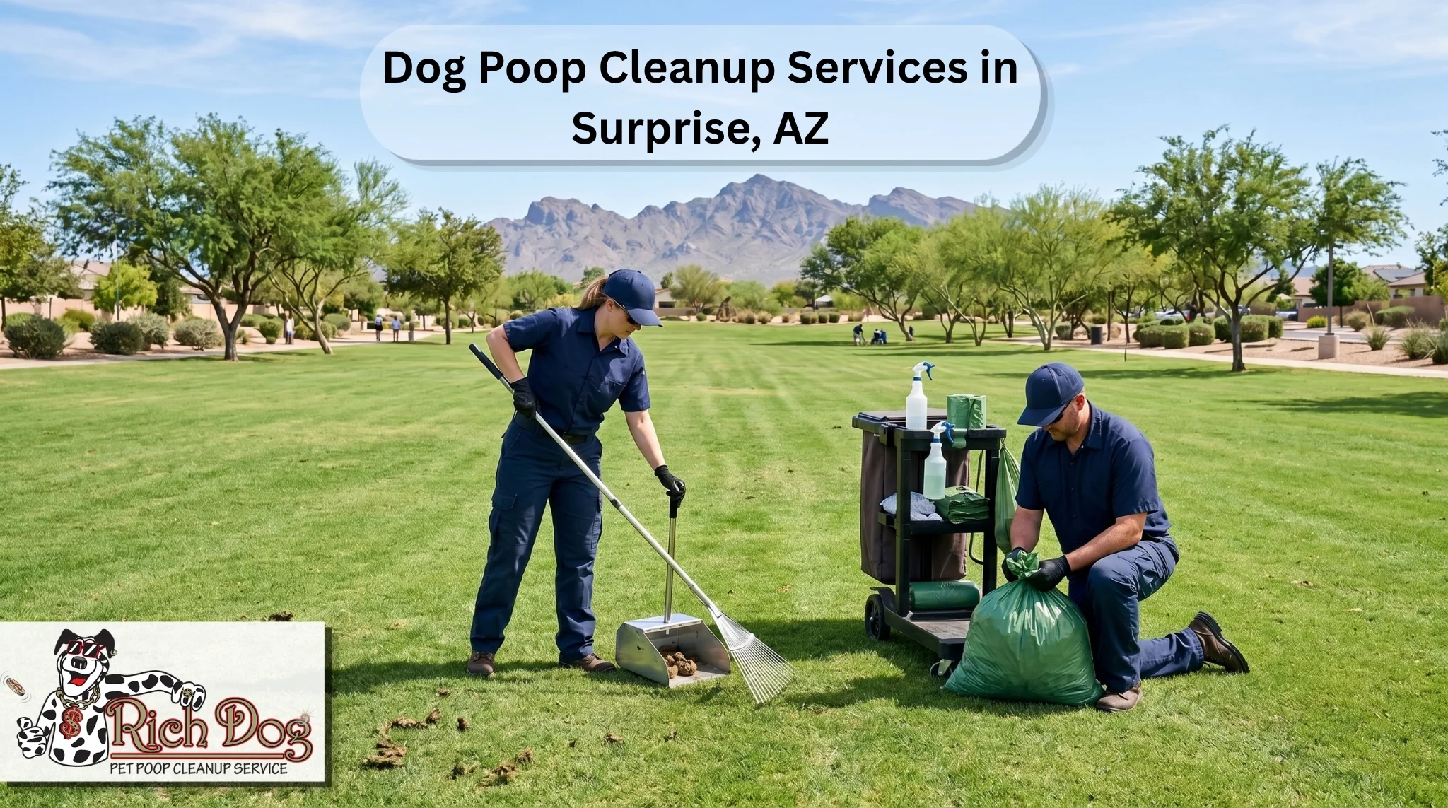 Dog Poop Cleanup Services in Surprise, AZ