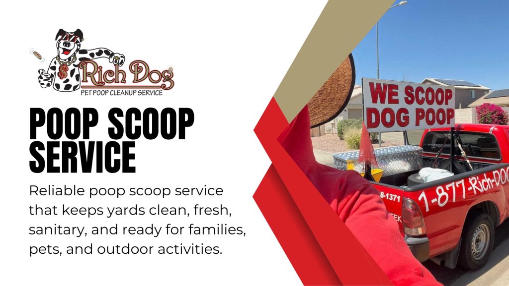 Dog Poop Cleanup Services in Surprise, AZ