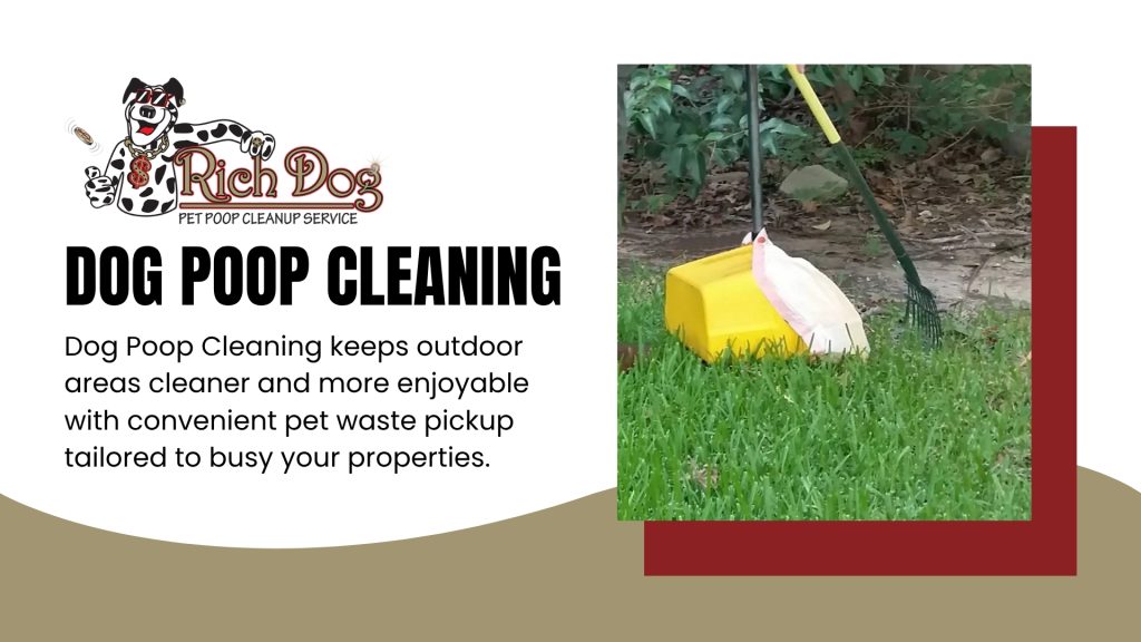 Dog Poop Cleanup Services in Surprise