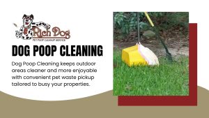 Dog Poop Cleanup Services in Surprise