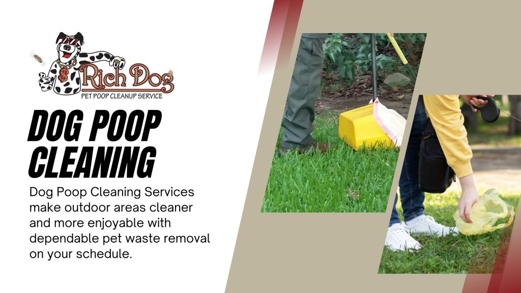 Dog Poop Cleanup Services