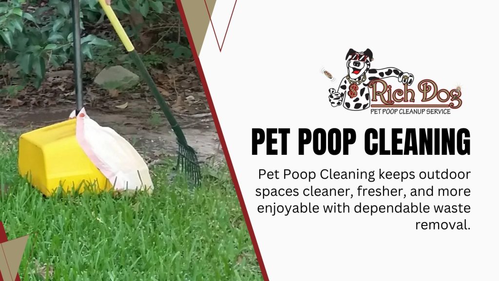 Dog Poop Cleanup Services in Surprise
