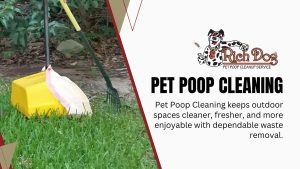 Dog Poop Cleanup Services in Surprise