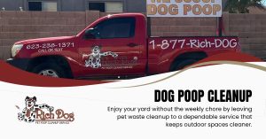 Dog Poop Cleanup Services in Surprise